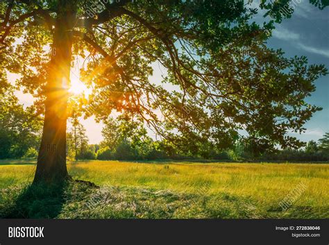 Beautiful Sunset Image And Photo Free Trial Bigstock
