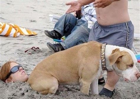 Epic Beach Fails That Will Fascinate You Genmice