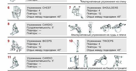 Накачаться в тренажерном зале программа