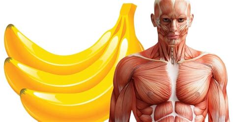 La Sati T De L Nergie Protection Du Coeur Voil Pourquoi Il Faut Manger Des Bananes