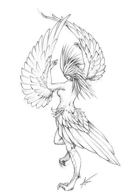 Monster 1 Harpy By Myrmirada On Deviantart Art Character Art
