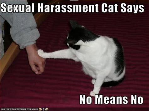 Sexual Harassment Is Not A Crime In Malaysia So What Asklegal My
