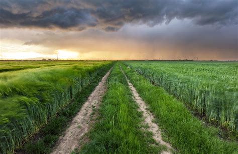 Storm Clouds Over Field And Road Stock Image Image Of Background