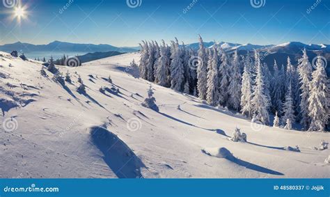 Sunny Winter Morning In Mountains Stock Image Image Of Idyllic