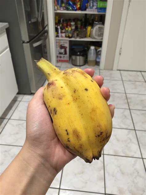 Conjoined Banana Mildlyinteresting