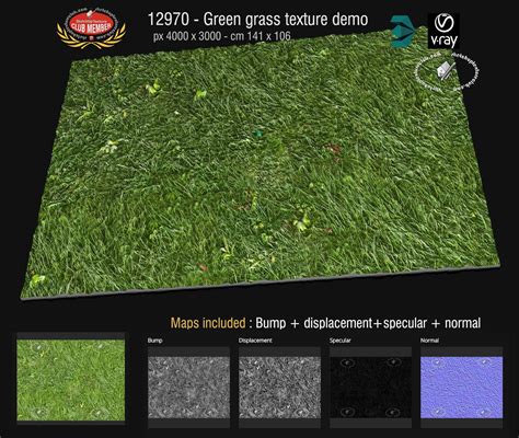 Sketchup Texture Amazing Green Grass Textures Seamless And Maps