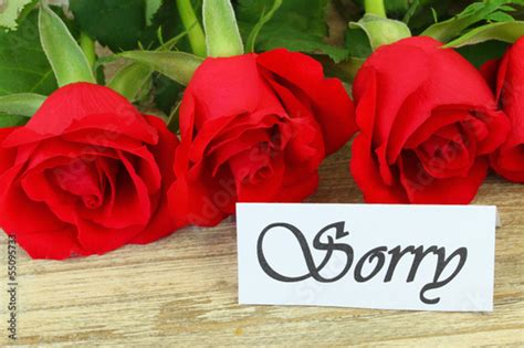 Sorry Card With Red Roses Stock Photo Adobe Stock