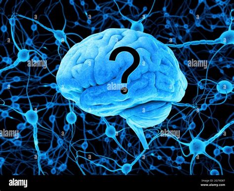 Human Head With Question Mark Symbol Brain Neurons Thinking Asking