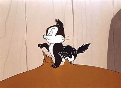 Kitty Pussyfoot Feed Marc Gifs Looney Tunes