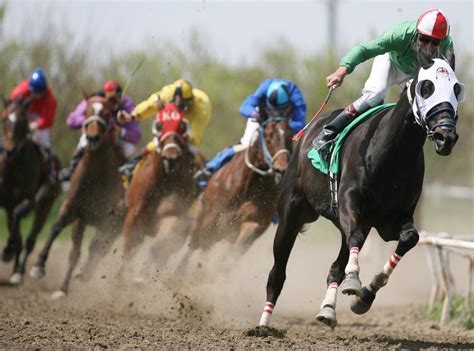 The meaning and symbolism of the word - «Horse-Race»