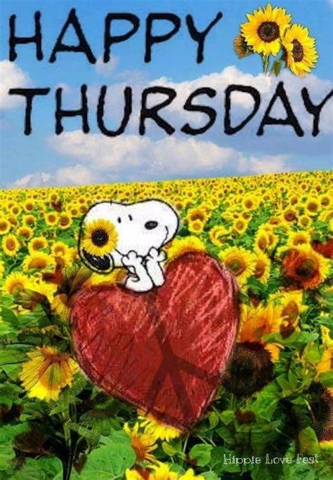 Happy Thursday Peanuts Gangsnoopy Good Morning Snoopy Happy Snoopy Happy Thursday Images