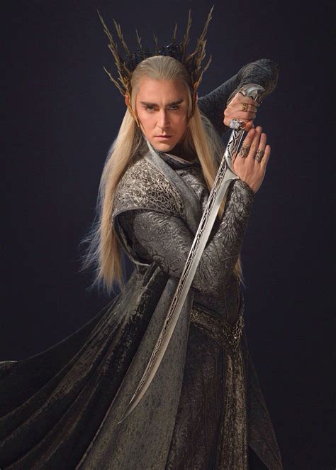 Pin By Melly On Nandor And Mirkwood Elves Thranduil The Hobbit Lord