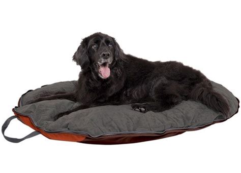 Cesar Millan Dog Beds Free Shipping On Dog Whisperer Folding Pet Beds