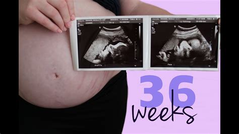 The weeks are separated into three stages. 9 months weeks