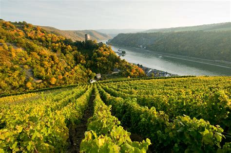 Adventure Holidays And Active Breaks In Rhineland Palatinate