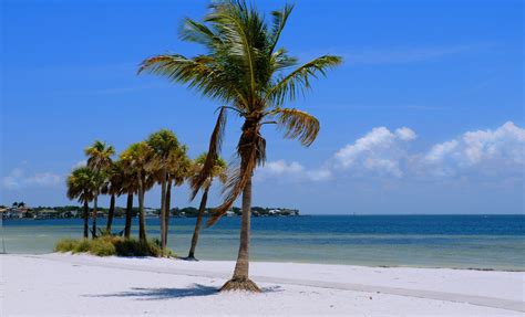 White Sand Beach At St Petersburg Florida Ning Tranquiligold Jin