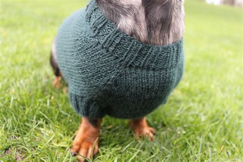Knitting Pattern Mini Dachshund Dog Sweater Cloud 9 Pet Etsy
