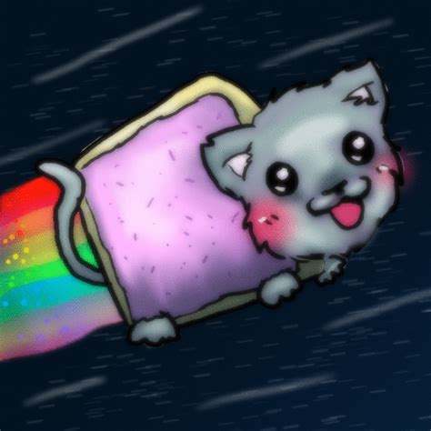 Image 116524 Nyan Cat Pop Tart Cat Know Your Meme