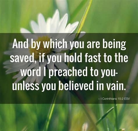 Daily Bible Verse About Being Saved Bible Time