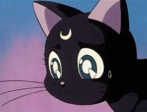 Sailor Moon Ghost Cat  Wiffle