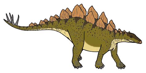 The Iconic Stegosaurus From Its Trademark Plates To The Spiky Tail