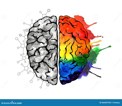 Brain Right Left Sides Cartoon Poster Vector Illustration