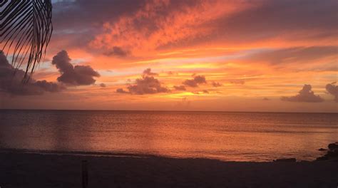 Caribbean Photo Of The Week Sunset On Palm Beach