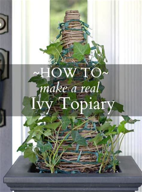 Diy Real Ivy Topiary Homestead And Survival