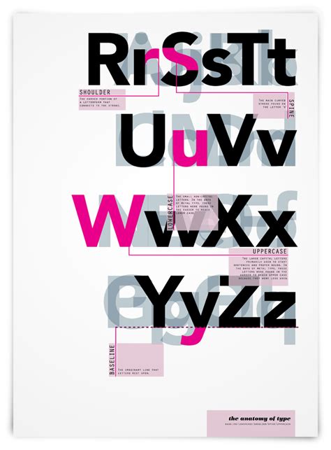 Typography Anatomy Typographic Poster Typographic Design Anatomy Of