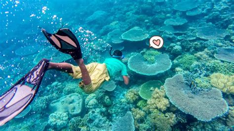 10 Tempat Wisata Wakatobi Dengan Pesona Keindahannya Orami