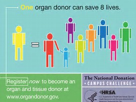 Image result for organ donation