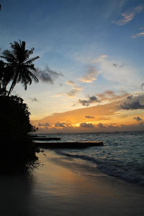 Paradise Beach Sunset Tropical Palm Trees Stock Photo Image Of