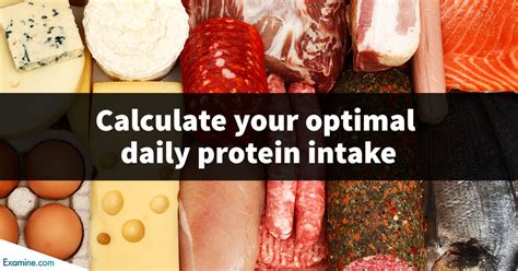 Protein Calculator Calculate Your Optimal Daily Need