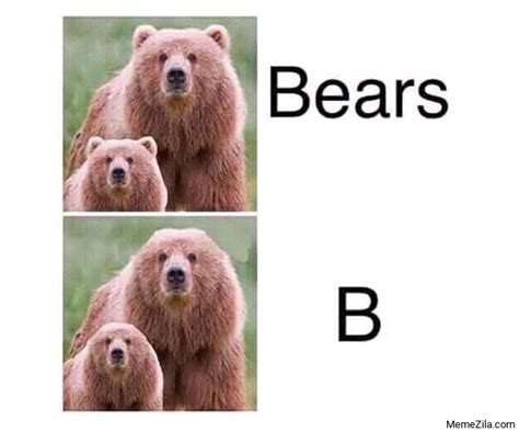 Bears Memes Un Bear Ably Silly And Ridiculous Bear Memes 26 Memes I