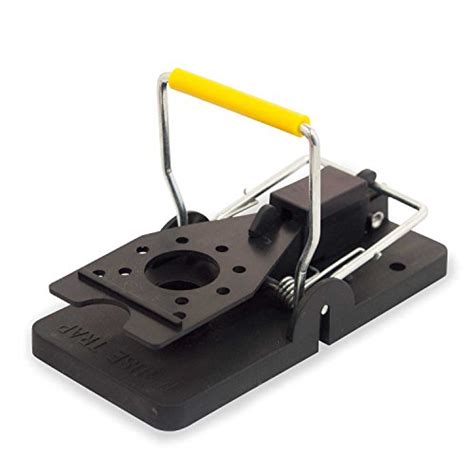 Best Mouse Trap Reviews Do It Once Do It Right