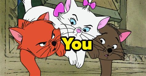 Difference between cat & comma ? Which One Of "The Aristocats" Are You? | Disney cat names ...