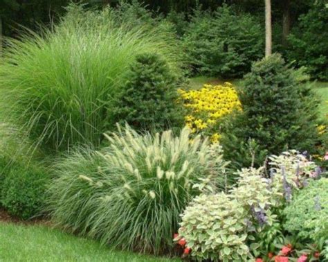19 Ornamental Grass Garden Plan Ideas To Try This Year Sharonsable