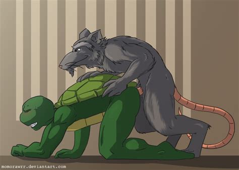 Rule 34 Anal Anal Sex Furry Furry Only Gay Male Master Splinter Penetration Penis Raphael Sex