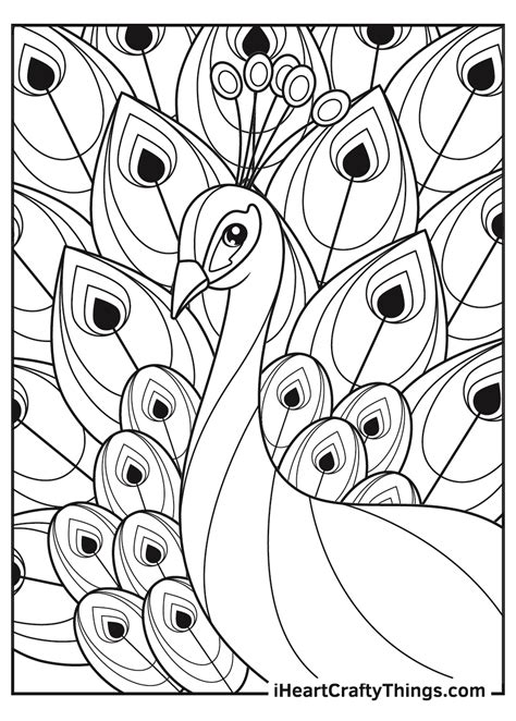 Peacock Feather Coloring Pages For Adults