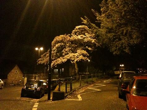 Night Blossom In Clifton Bristol Clifton Bristol Slow Night