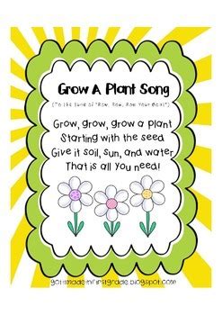 The parts of a plant (song for kids about flower/stem/leaves/roots). Grow a Plant Song by Got It Made in First Grade | TpT