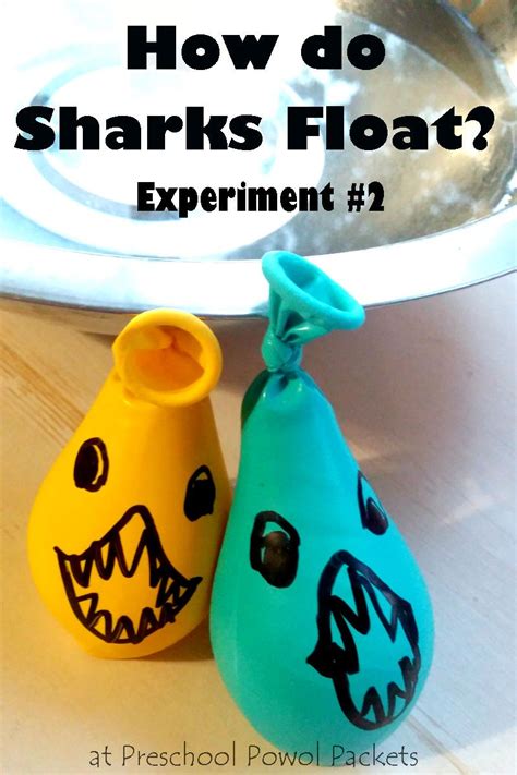 Children are curious, and their questions about life around them are unending. How Sharks Float Science Experiment: Part 2 | Cool science ...