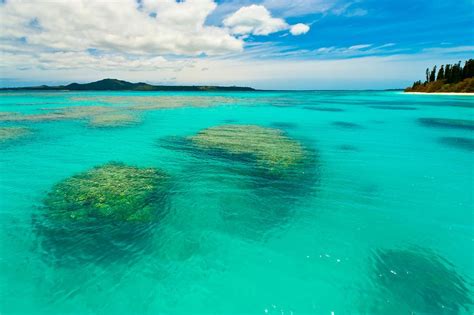Coral Reefs Surrounding Brush Island New Caledonia Barrier Reef Off