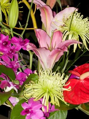 To send a flower delivery either order online or phone our scarborough flower shop. Send Flowers Mail Order, Order Flowers by Mail, Shop for ...