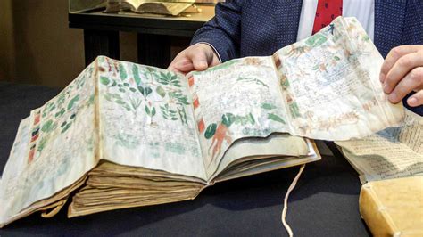 La Ai Consigue Descifrar El Manuscrito Voynich Rtvees