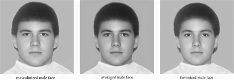 Figure 1 From Are Attractive Mens Faces Masculine Or Feminine The Importance Of Type Of Facial
