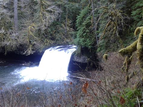Butte Creek Falls Hike Outdoor Project