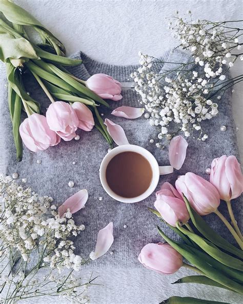 Pin By Maisa On Inspiration Coffee Flower Spring Coffee Coffee Pictures