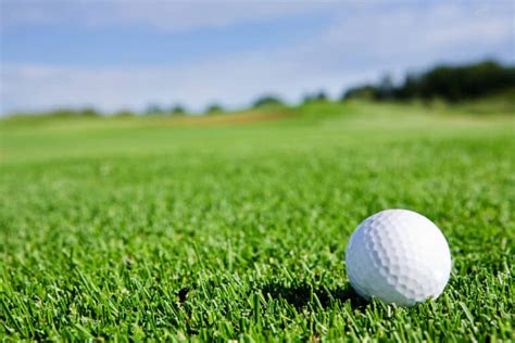 6 Types Of Golf Course Grasses Differences Color Appearance