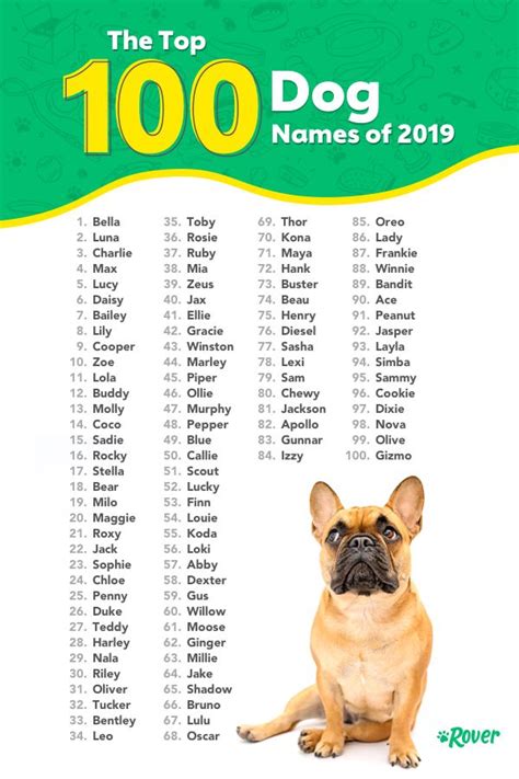 Top 100 Most Popular Dog Names In 2021 Dog Names Top Dog
